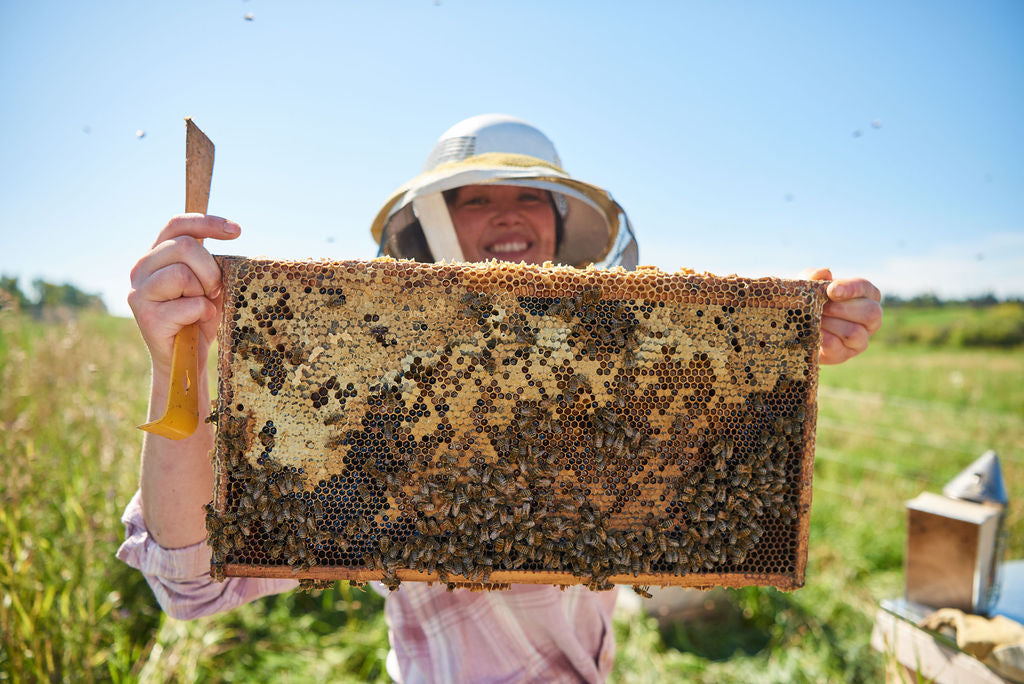 Alberta honey. ethically raised honeybees